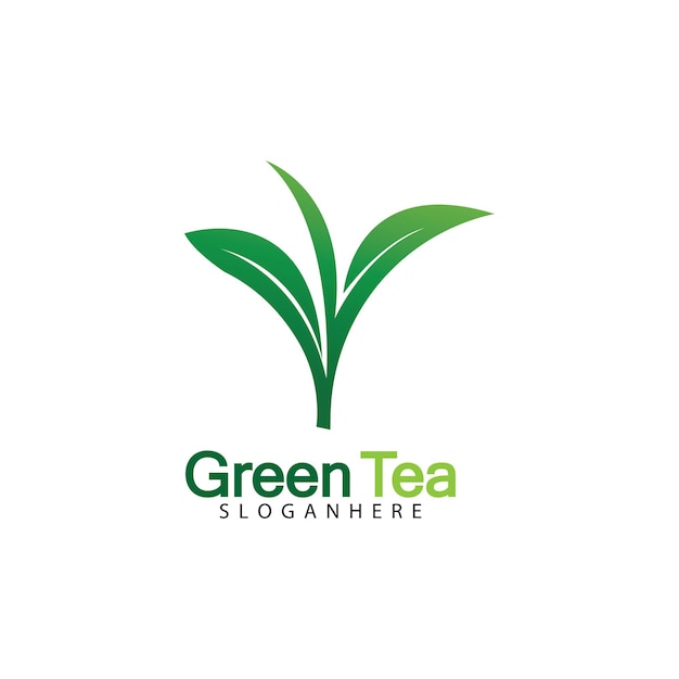 Green tea leaf logo vector icon illustration design isolated on white background-vector image