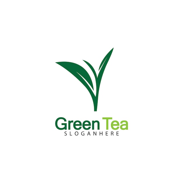 Green tea leaf logo vector icon illustration design isolated on white background-vector image