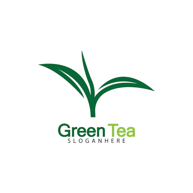 Green tea leaf logo vector icon illustration design isolated on white background-vector image