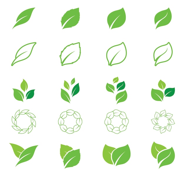 Green tea leaf vector logo template