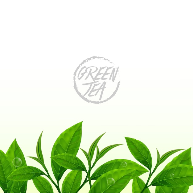 листья зеленого чая бесшовные границы