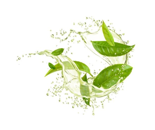Foglie di tè verde con spruzzi di bevande gocce d'acqua
