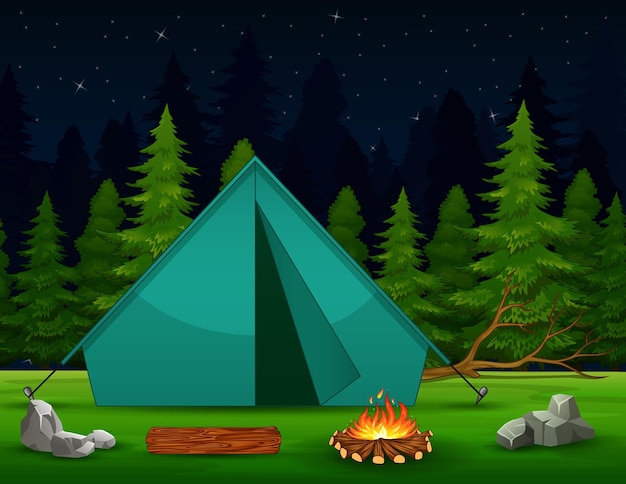 A green tent with bonfire on forest night landscape