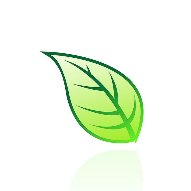 Green Tobacco Leaf Icon with Outlines