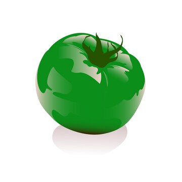 Premium Vector | Green tomato illustration vector, 3d tomato creative