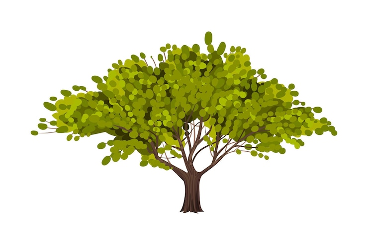 Vector green tree as perennial plant with trunk branches and leaves vector illustration