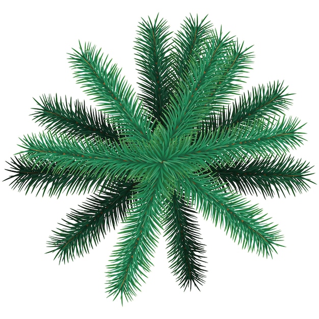 Vector green tree christmas decoration vector