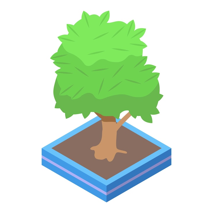Vector green tree growing in square pot isometric view
