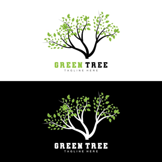 녹색 나무 로고 디자인 분재 나무 로고 그림 잎과 나무 벡터