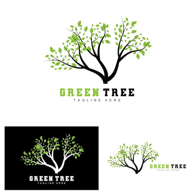 Vector green tree logo design bonsai tree logo illustration leaf and wood vector