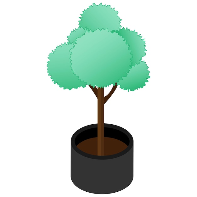 green tree potted in a sleek black pot