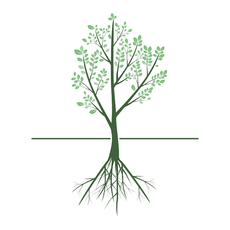 Vector green tree and root nature