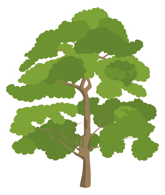 Vector green tree summer park symbol natural forest plant