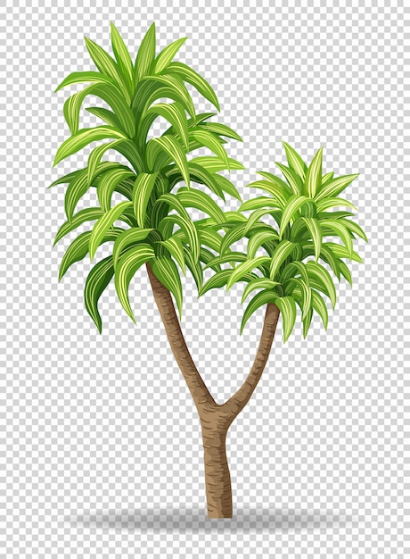 透明の緑の木