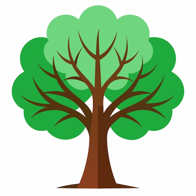 茶色の幹と緑の木が付いている緑の木