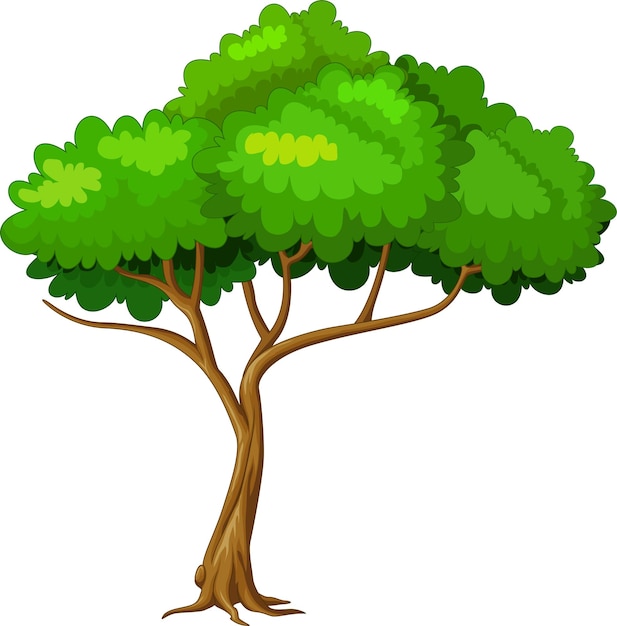 Vector green tree