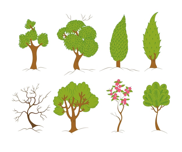 Зеленые деревья устанавливают векторную иллюстрацию Стилизованная коллекция лесных деревьев