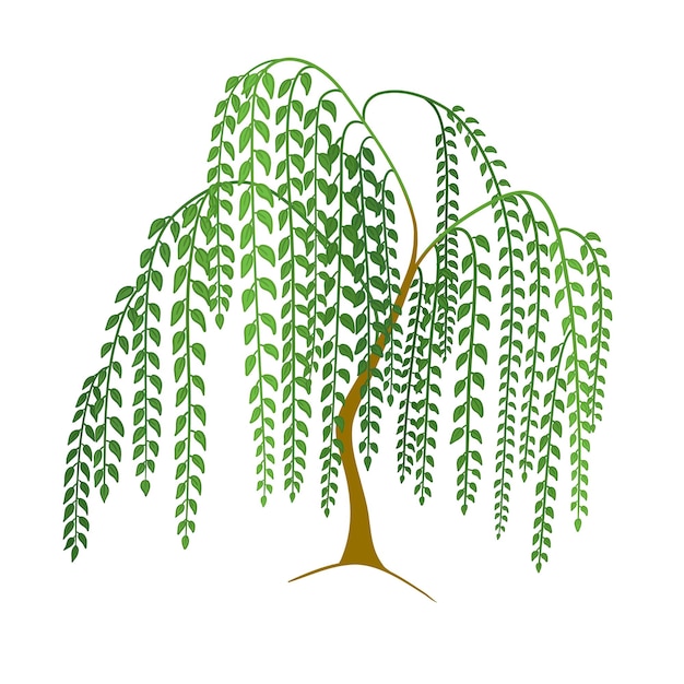 Vector green trees set vector illustration stylized forest tree collection