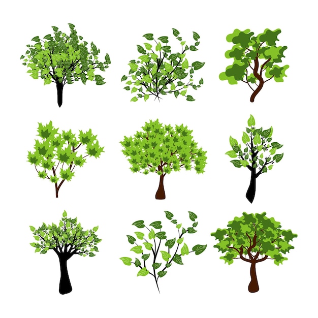 Set di illustrazioni vettoriali per alberi verdi set di piante e alberi di varietà
