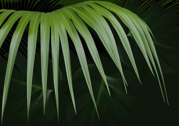 Vector green tropical leaf with dark leaves in background