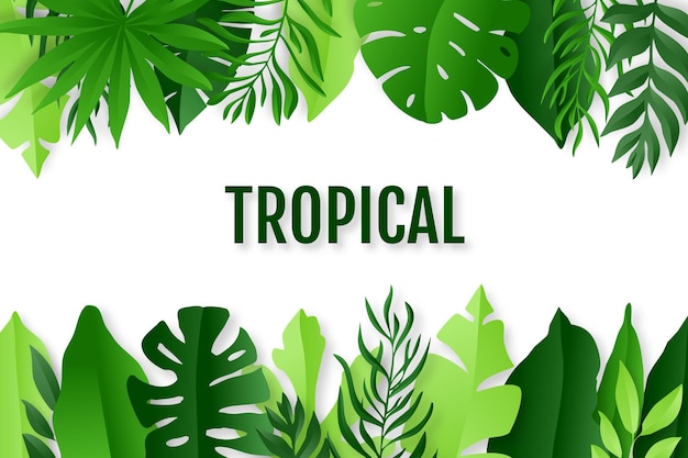 Green tropical leaves frame summer background paper cut style vector illustration