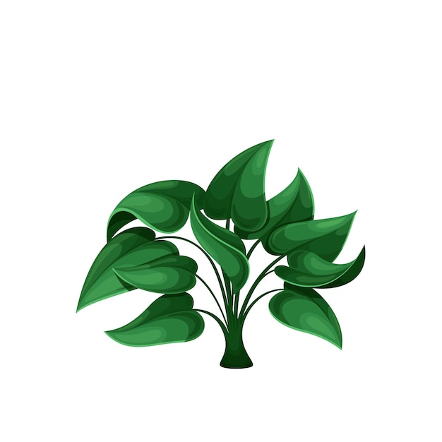 Green tropical plant bush vector illustration.