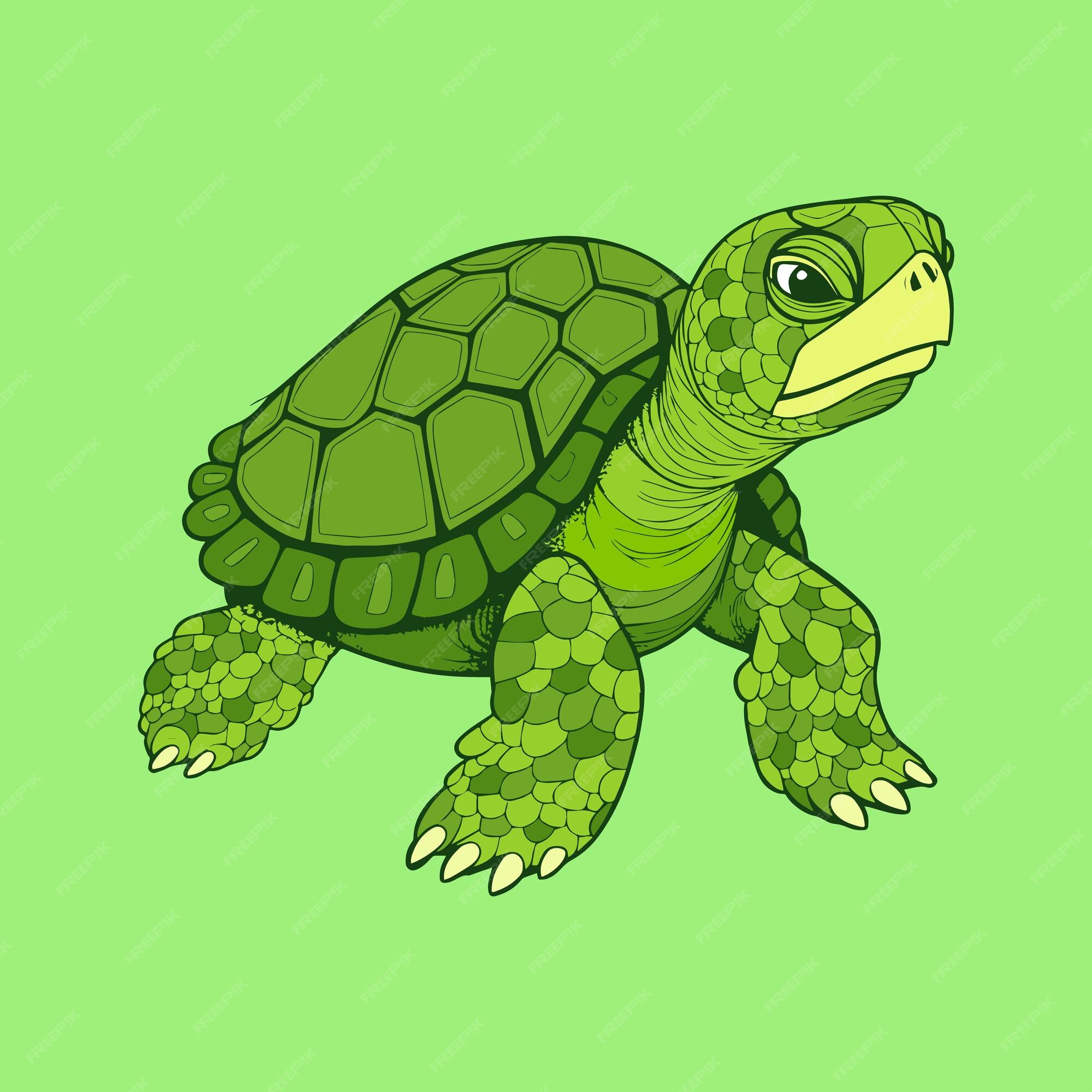 Premium Vector | Green turtle on a green background