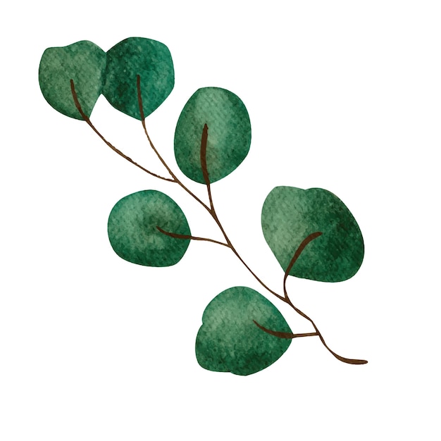Green twigs and leaves watercolor illustration
