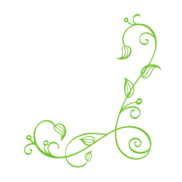 Green Vector Hand Drawn Calligraphic Corner Spring Flourish Design Element Floral light style