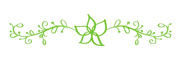 Green Vector Hand Drawn Calligraphic Separator Spring Flourish Design Element Floral light style