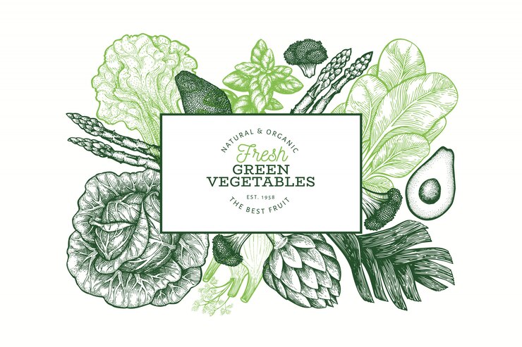 Vector green vegetables design template. hand drawn vector food illustration. engraved style vegetable banner. retro botanical banner.
