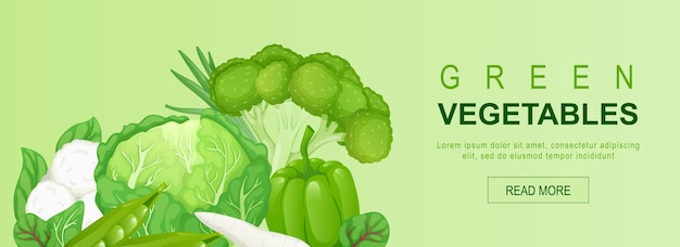 Vector green vegetables horizontal web banner cabbage peas broccoli bell pepper spinach cauliflower greens other vegetables vector illustration for header website cover templates in modern design