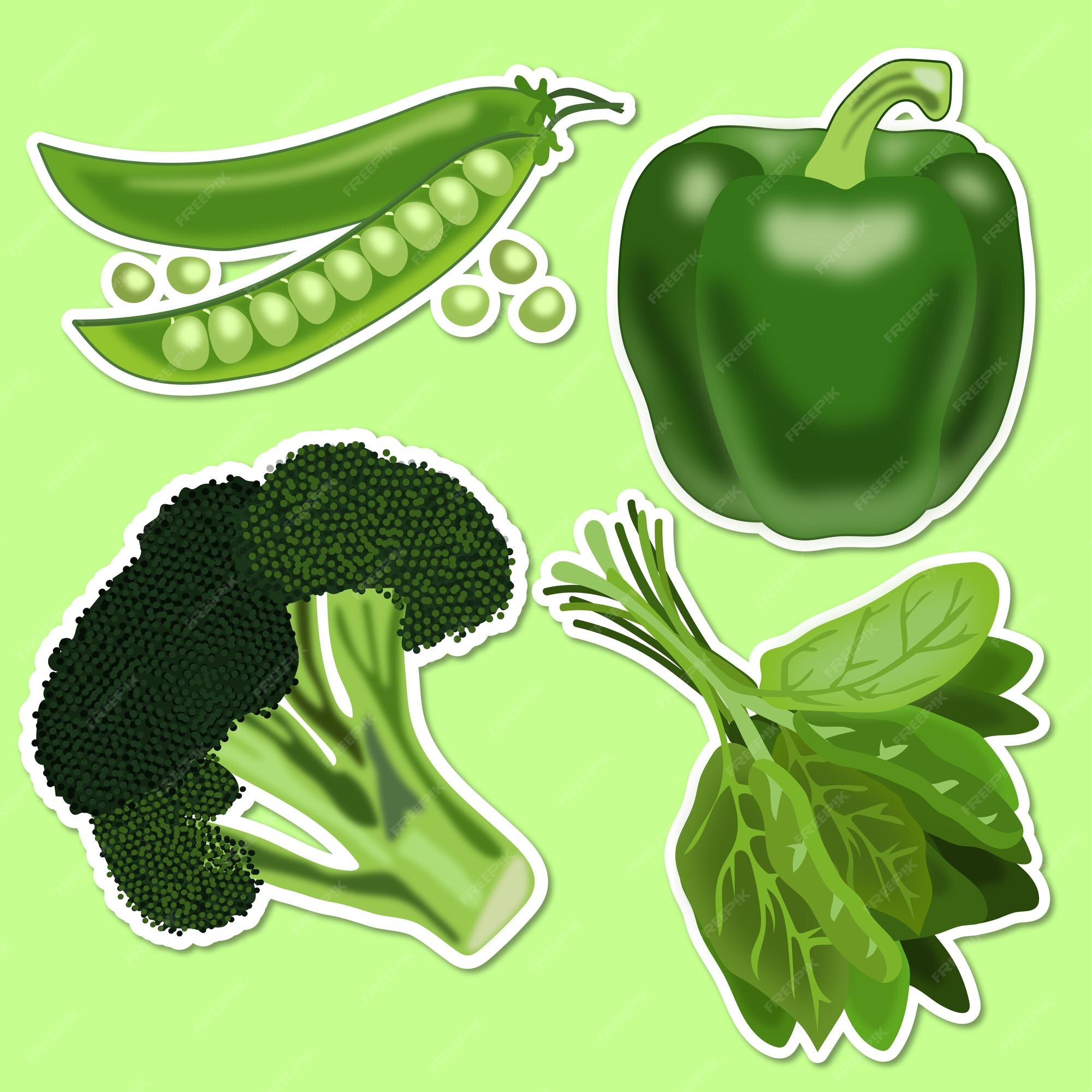 Premium Vector | Green vegetables