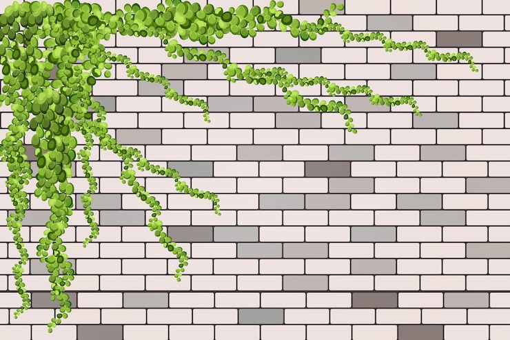 Vector green vine, liana or ivy hanging from above or climbing the wall.