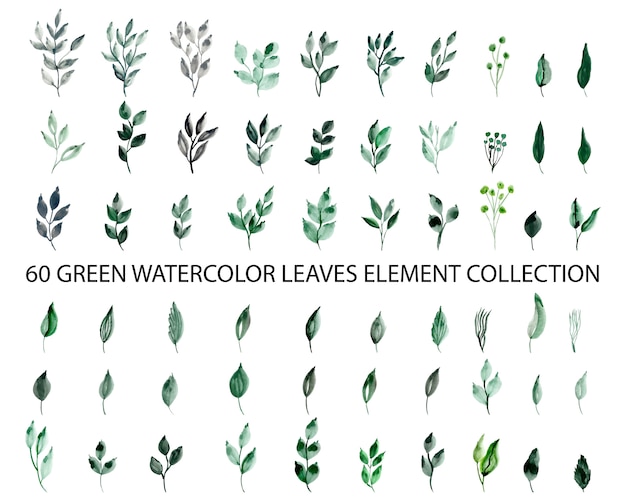 Green watercolor leaves element collection