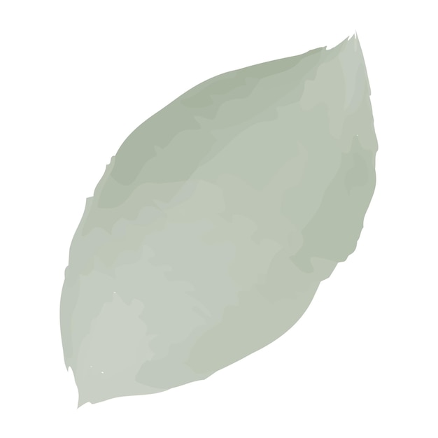 Green watercolor petal Vector illustration