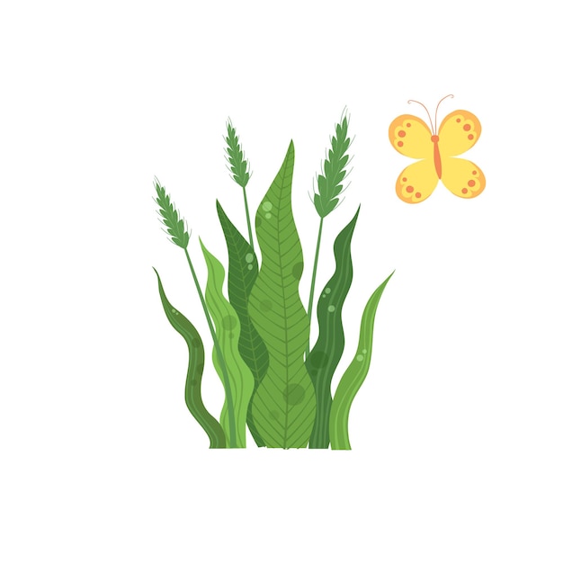 カラフルな蝶のアイコンの近くの緑の小麦植物。白い背景で隔離のウェブデザインのカラフルな蝶のベクトルアイコンの近くの緑の小麦植物の漫画
