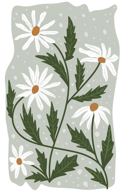 Vector a green and white floral pattern with white daisies on a green background