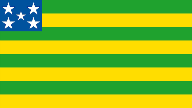 A green and yellow flag with the word congo on it.