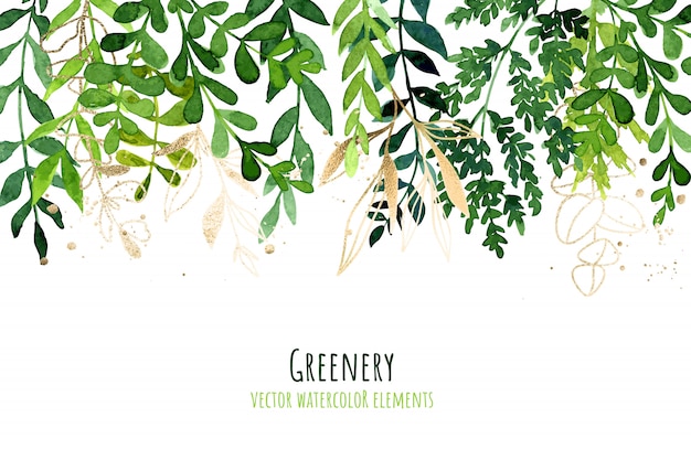 Vector greenery drop header, watercolor botanical background, leaves and branches