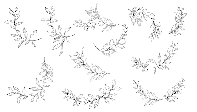 Вектор Зелень штриховой искусства тонкая линия листьев рисованной иллюстрации ботанические раскраски странице