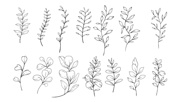 Greenery Line Art Fine Line Leaves Handgetekende illustratie Botanische kleurplaat