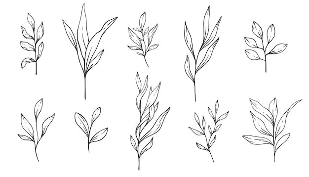 Greenery Line Art Fine Line Leaves Handgetekende illustratie Botanische kleurplaat