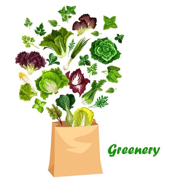 Vector greenery salads and greens in vector shopping bag