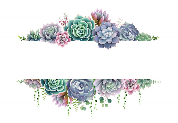 Vector greenery, succulent and branches frame border