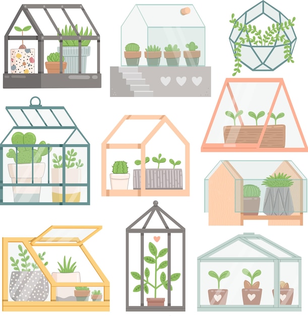 Vector greenhouse spring set with plants flat design vector