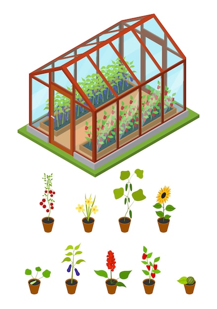 花や植物と温室等角図ベクトル