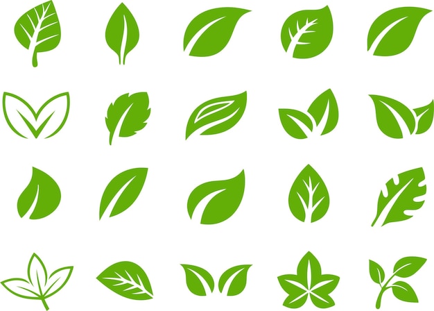 GreeSet van Green Leaf Icons Minimalistische NatureInspired Vector Illustrations Leaf Icons Set