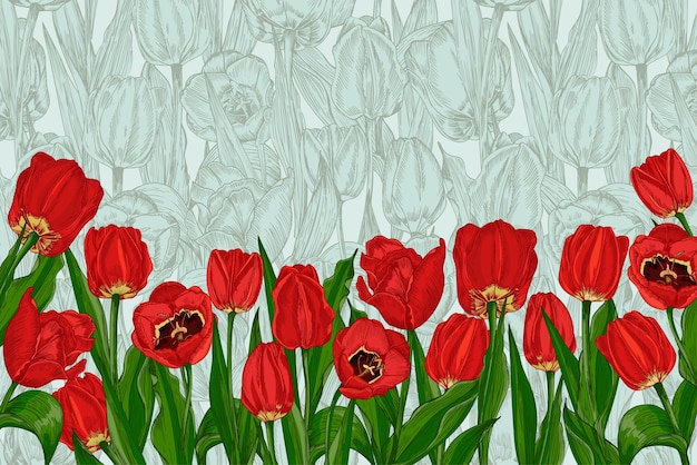 Greeting background with spring flower tulips bouquet in red\
and green colors horizontal seamless pattern