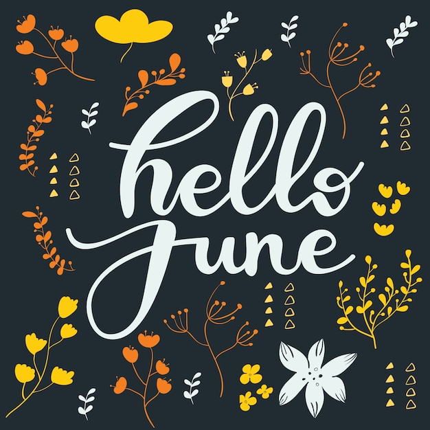 Greeting card design with lettering Hello June. Vector illustration.